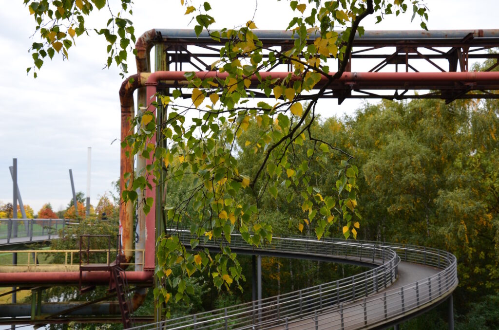 Herbstliche Stimmung im Westpark Bochum mit Rohren und gefärbtem Laub.