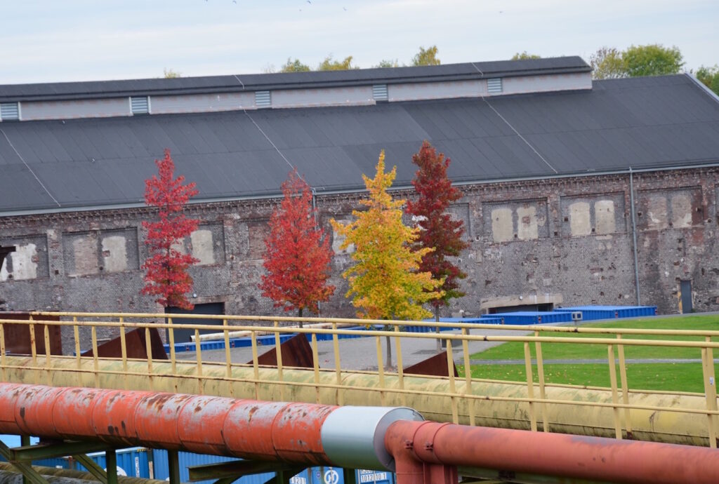 Herbstlich gefärbte Bäume vor der Jahrhunderthalle Bochum und Rohre im Vordergrund.